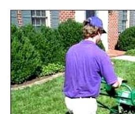 Мобильные теплицы - модель 2