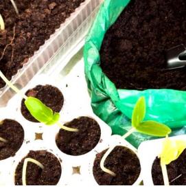 Мягкие горшки для рассады - модель 4