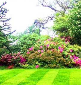 Мягкий газон - модель 1