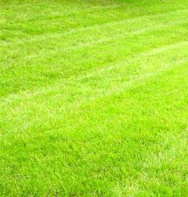 Мягкий газон - модель 4