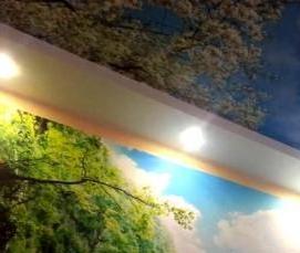 Натяжные потолки одноуровневые с фотопечатью - вариант 2