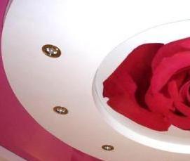 Натяжные потолки с рисунками орхидей - тип 1