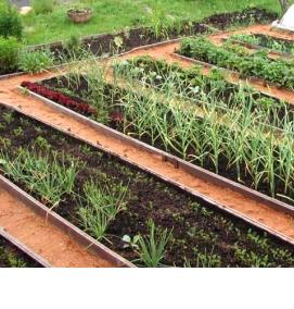 Не гниющие грядки - тип 1