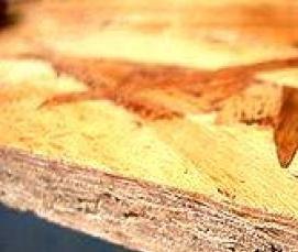 Осб тонкая - вариант 1