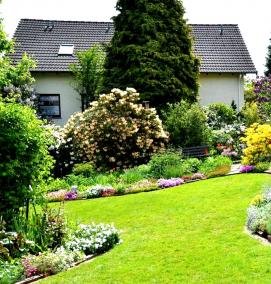 Озеленение цветами - модель 1