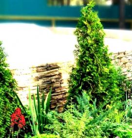 Озеленение цветами - модель 3