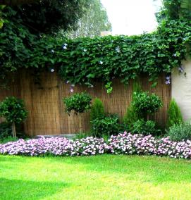 Озеленение цветами - модель 2