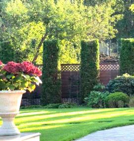 Озеленение улицы - модель 1