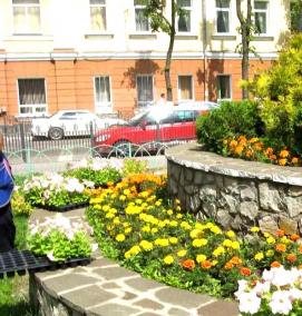 Озеленение улицы - модель 3