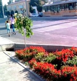 Озеленение улицы - модель 2