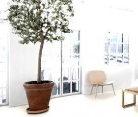 Паркетная доска 2 метра - тип 1