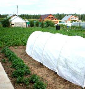 Парник 6х3 - вариант 3