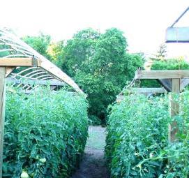 Парник из дерева для огурцов - тип 3