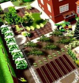 Планировка участка под огород - вариант 3