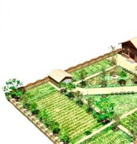 Планировка участка под огород - вариант 2