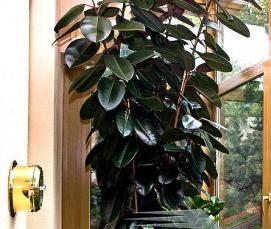 Пластиковое раздвижное остекление - вариант 3