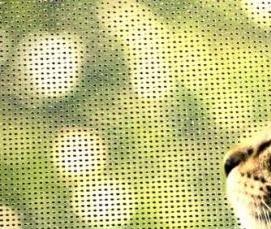 Пластиковые окна антикошка - тип 2