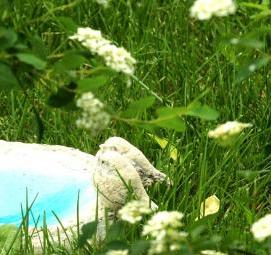 Поилка для птиц на даче - вариант 1