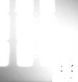 Поликарбонат 12 мм - вариант 2