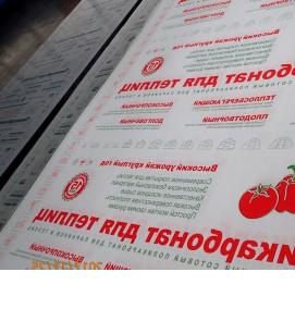 Поликарбонат сотовый листовой - вариант 3