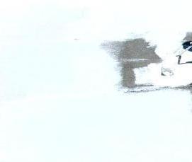 Полиуретановая гидроизоляция для кровли - тип 2