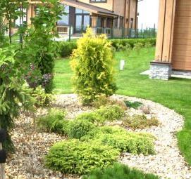 Посадка плодовых деревьев - модель 2