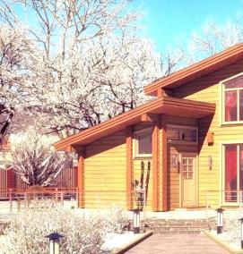 Проектирование строений - модель 2