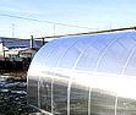 Проф теплицы - вариант 2