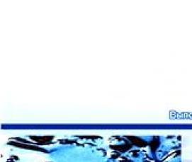 российский битум - модель 3