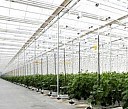 урна для мусора металлическая с педалью Ульяновск