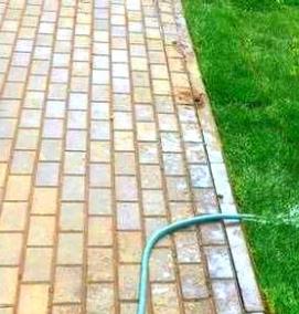 рулонный газон под ключ - вариант 1