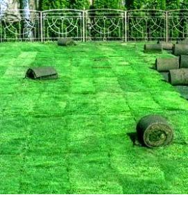рулонный газон под ключ - вариант 2