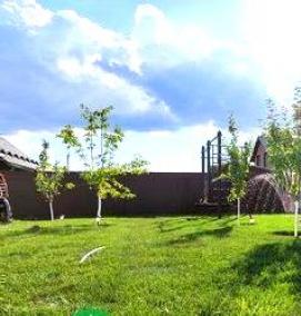 рулонный газон с доставкой - модель 1