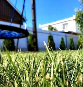 рулонный газон с доставкой - модель 3