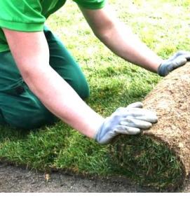 рулонный газон с доставкой - модель 2