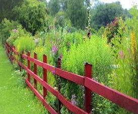 садовый  для клумбы - тип 4