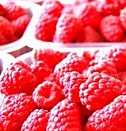 саженцы и цветы для сада Иркутск