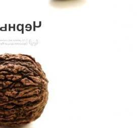 саженец ореха пекан - тип 4