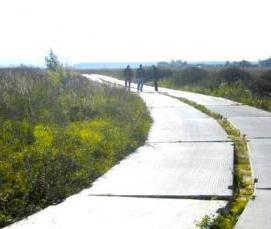 сборные железобетонные балки покрытия - тип 4