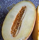 урны для мусора в офис Хасавюрт