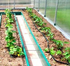 сетка для грядок - тип 4