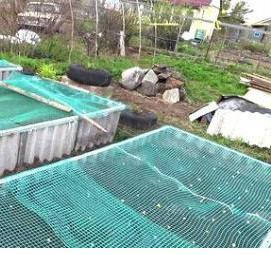 сетка для грядок - тип 3