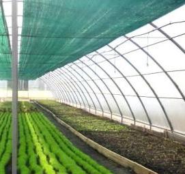 сетка для грядок - тип 2