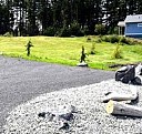 щебень для приготовления бетона Волгодонск