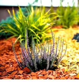 щепа сосновая для мульчирования - вариант 1