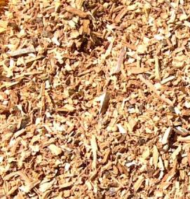 щепа сосны - модель 2