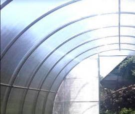 сибирская теплица из поликарбоната - модель 4