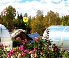 сибирская теплица из поликарбоната - модель 3