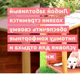 собачьи урны - модель 3