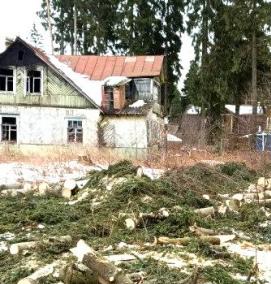 спил деревьев на участке - тип 3